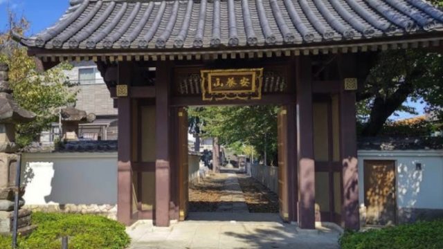 大徳寺 道合大師